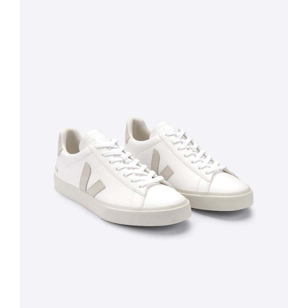 Veja CAMPO CHROMEFREE Low Tops Sneakers Herre White/Beige | NO 203KOR